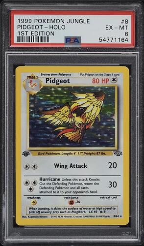 pidgeot_1.PNG